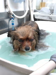 20260212_174314_copy_2066x2754