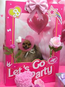 20260212_183416_copy_995x1327~2_copy_1941x2589