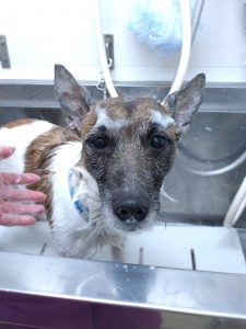 20260212_184354_copy_2400x3200_1