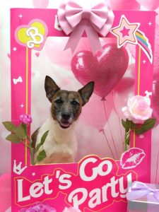 20260212_190807_copy_1810x2414