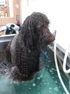 20260213_110821_copy_2064x2752