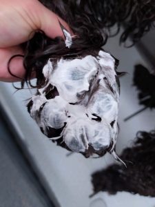 20260213_111348_copy_2824x3766