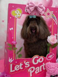 20260213_124551_copy_2360x3147~2_copy_2303x3071