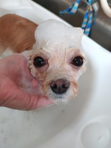 20260213_134610_copy_2650x3534_1