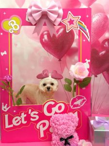 20260213_153701~2_copy_1890x2522