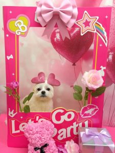 20260213_184123_copy_916x1221~2_copy_1832x2442