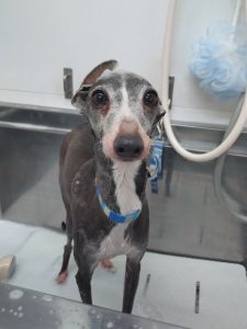 20260214_090302_copy_2579x3438