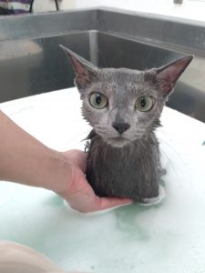 20260214_101313_copy_1852x2470_1