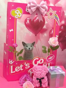 20260214_110101_copy_1013x1350~2_copy_2020x2692