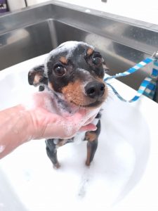 20260214_110938_copy_2583x3444_1