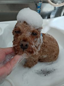 20260214_132309_copy_3332x4442