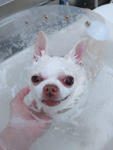 20260214_160454_copy_2420x3227