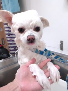 20260214_180724_copy_2719x3625