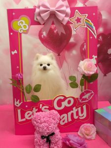 20260214_190703(1)~2_copy_1989x2651