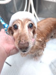 20260216_094814_copy_2851x3802