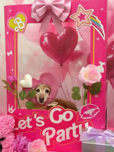 20260216_114905~2_copy_1786x2382