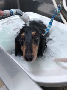 20260216_121638_copy_1944x2592