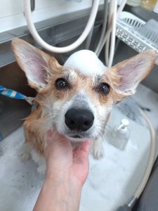 20260216_133840_copy_3021x4028