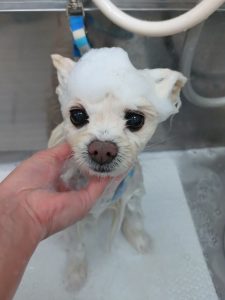 20260216_150406(1)_copy_2700x3600