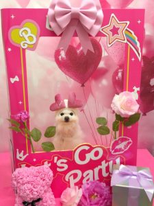 20260216_161125_copy_1080x1440~2_copy_2054x2739_copy_2054x2739