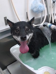 20260216_164013_copy_2050x2734