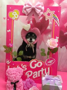 20260216_173717~2_copy_1870x2496