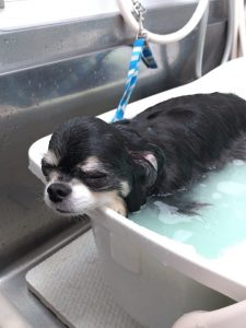 20260216_180248_copy_2096x2794