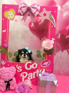 20260216_190531_copy_1940x2587