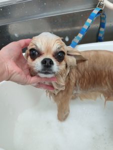 20260217_101810_copy_2700x3600_1