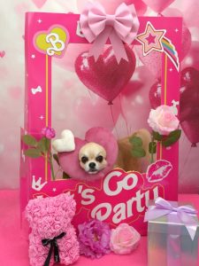 20260217_110320~2_copy_1898x2530