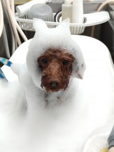 20260217_122531_copy_1786x2380_1