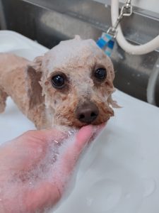 20260217_150840_copy_2669x3558