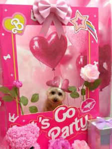 20260217_170006~2_copy_1832x2444