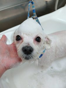 20260217_175243_copy_2325x3100