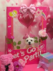 20260217_190533~3_copy_1688x2252