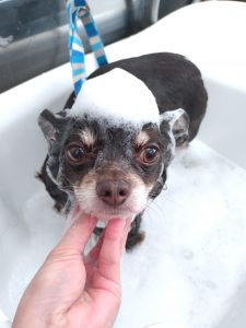 20260219_094235_copy_2381x3174