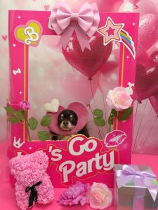 20260219_104654~2_copy_1870x2492