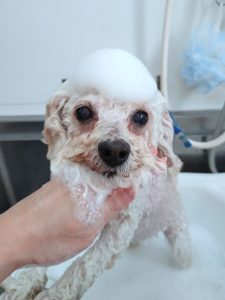 20260219_134813_copy_2406x3209