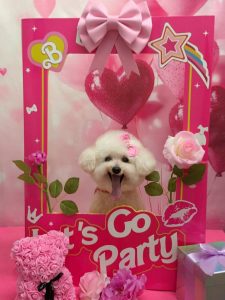 20260219_162230~2_copy_1892x2522