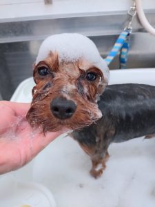 20260219_172514_copy_3000x4000