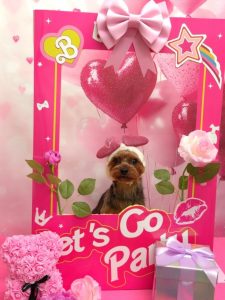 20260219_184257(1)~2_copy_1670x2226