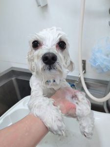 20260220_103727_copy_1917x2556