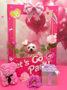 20260220_151343_copy_1940x2588