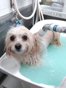 20260220_155234_copy_2160x2880