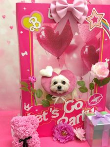 20260220_173900(1)_copy_972x1296_copy_1818x2422