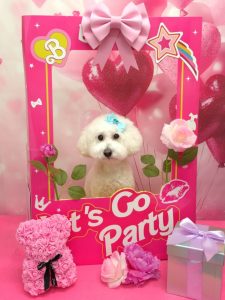 20260221_121434~2_copy_1934x2580