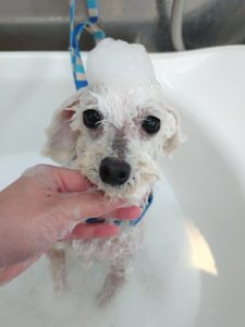 20260221_125608_copy_2502x3335