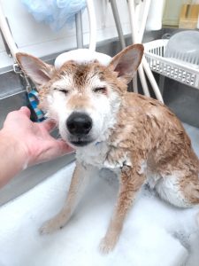 20260221_154948_copy_3000x4000