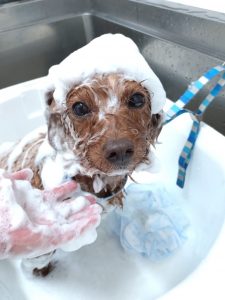 20260221_180839_copy_2446x3261