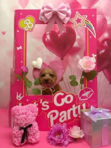 20260221_191140(1)~2_copy_1892x2522